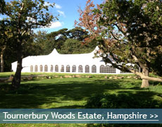 tournerbury woods, hampshire